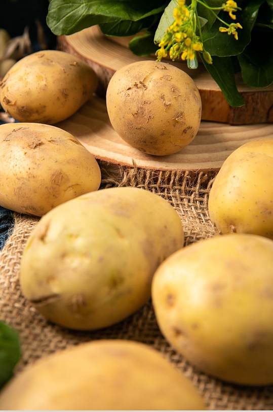 新鲜土豆马铃薯蔬菜食物摄影图片