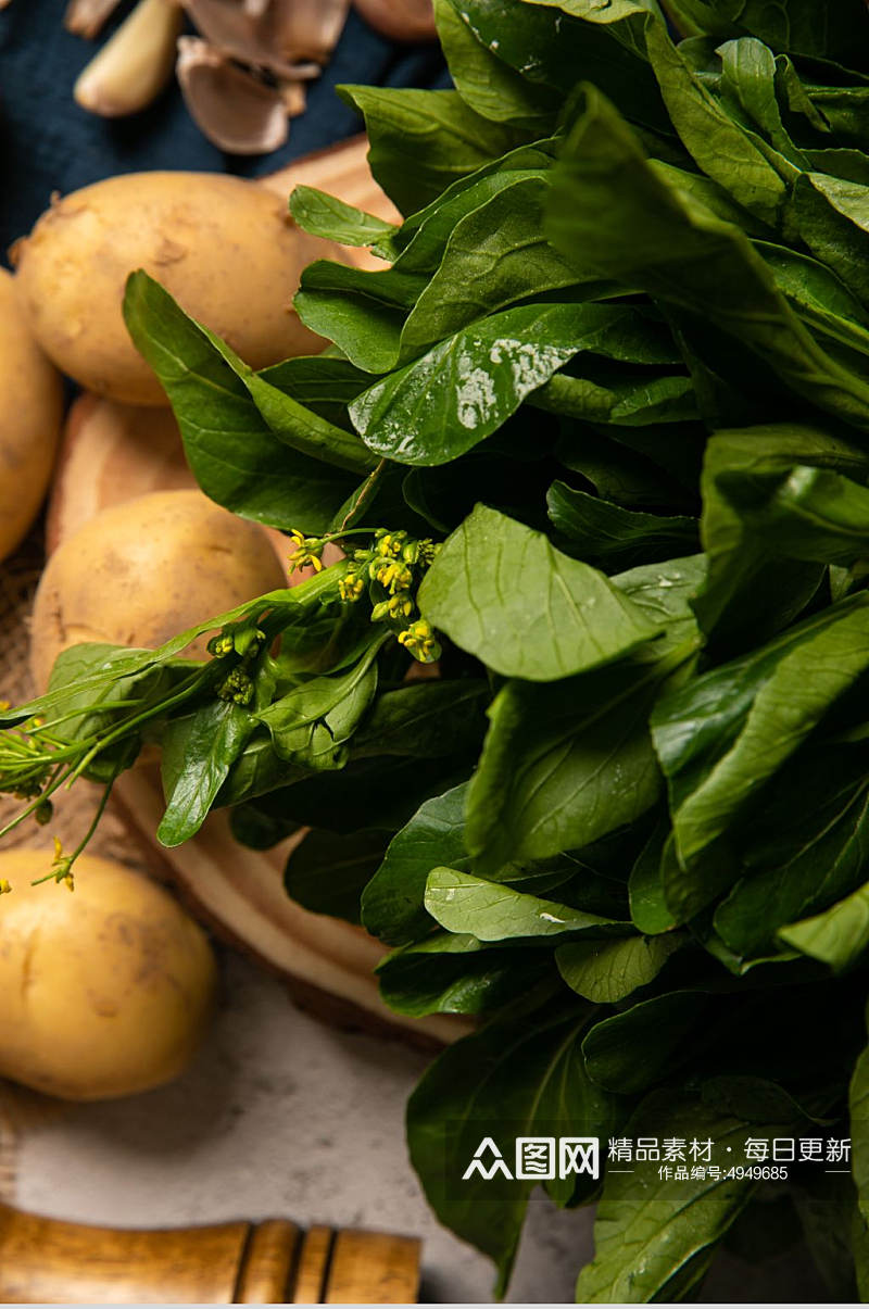 新鲜油菜花芸薹蔬菜食物摄影图片素材