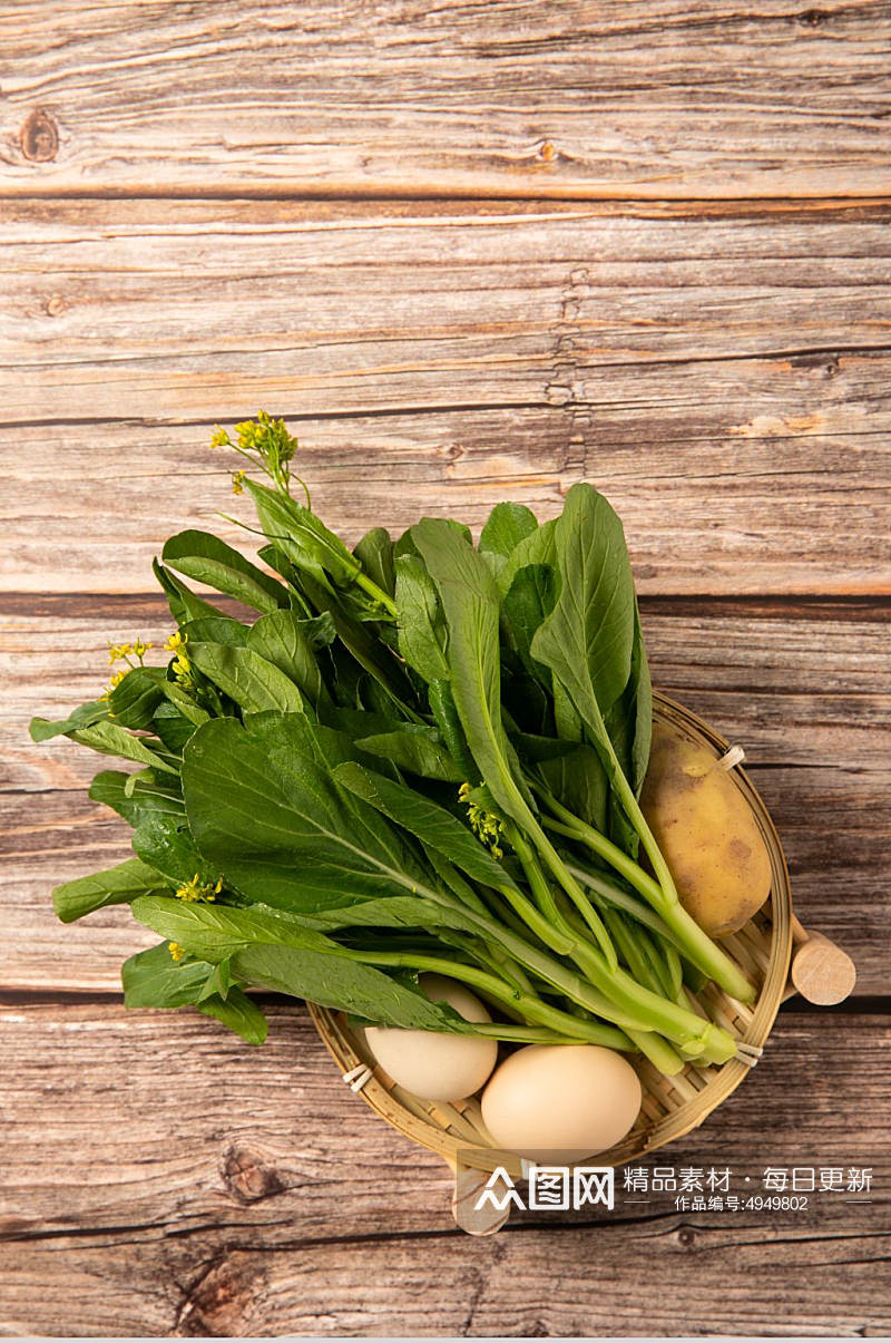 新鲜油菜花芸薹蔬菜食物摄影图片素材