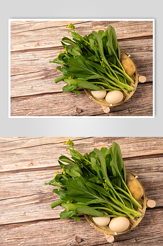 新鲜油菜花芸薹蔬菜食物摄影图片