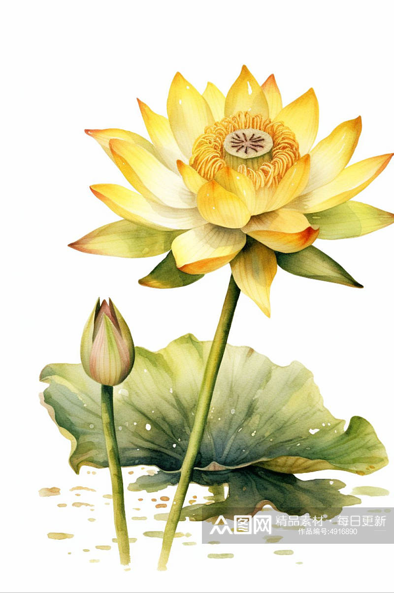 AI数字艺术原创黄色水彩风荷花花卉插画素材