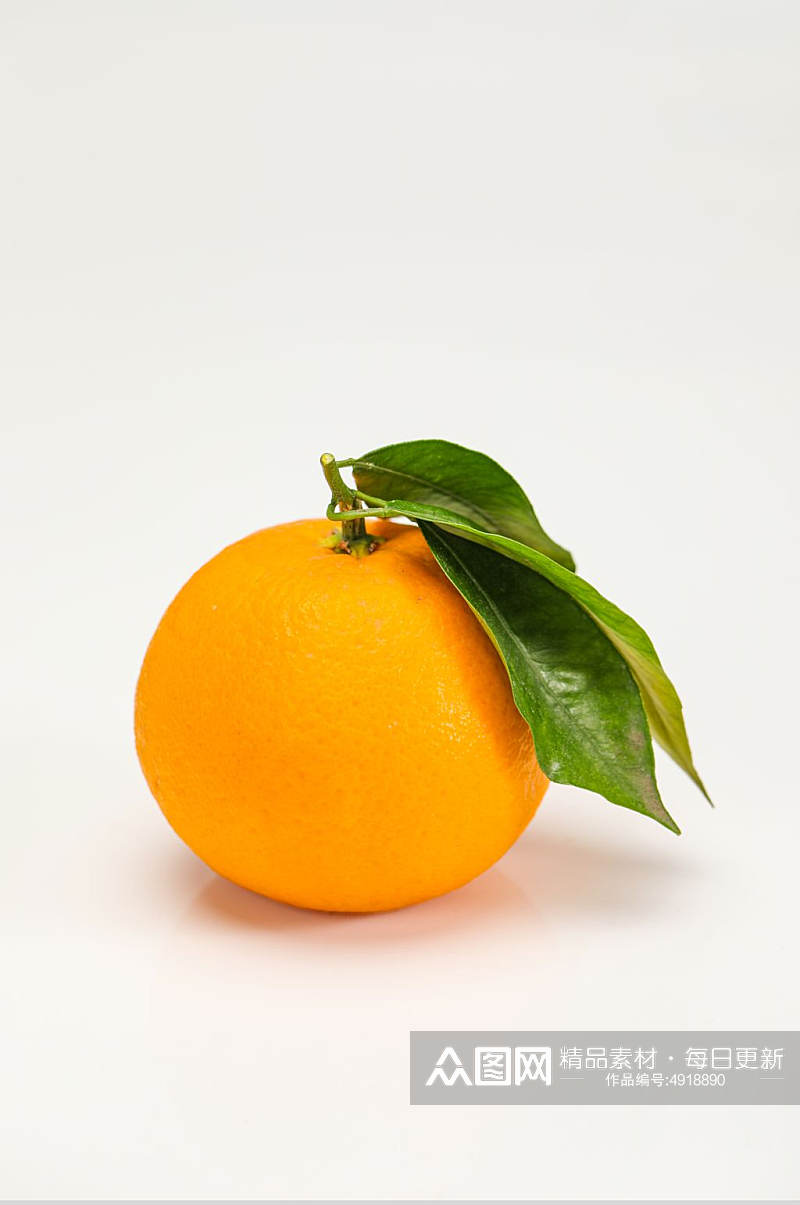 橙子香橙甜橙水果鲜果摄影图片素材