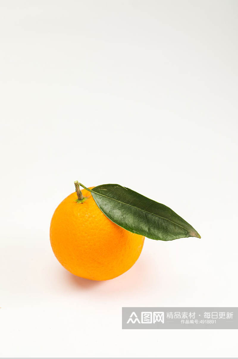 橙子香橙甜橙水果鲜果摄影图片素材