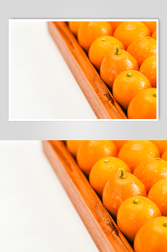 现摘新鲜金橘金桔水果鲜果摄影图片