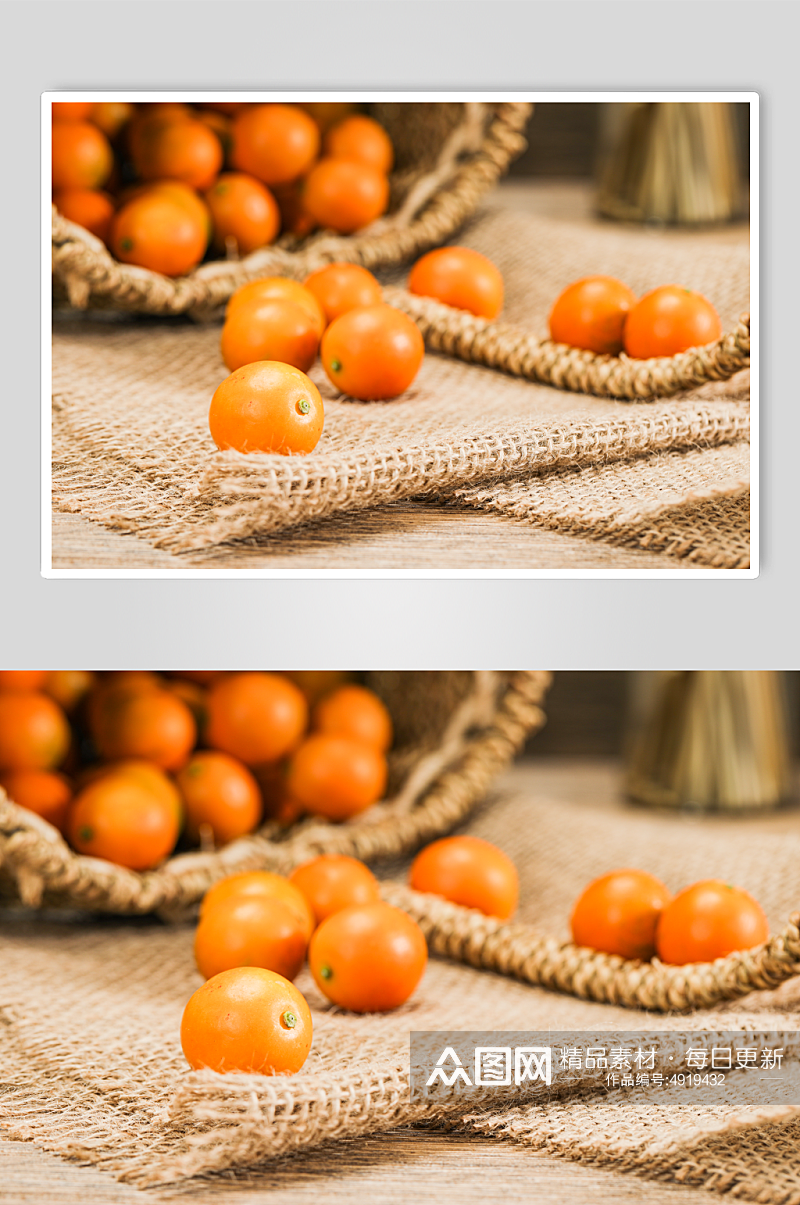 现摘新鲜金橘金桔水果鲜果摄影图片素材