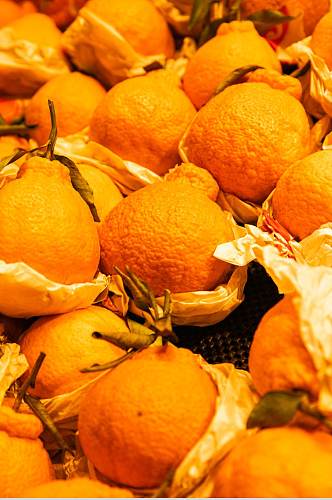 新鲜丑橘水果鲜果摄影图片