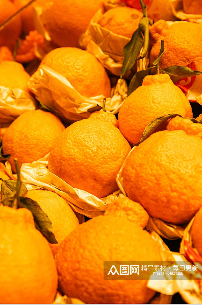 新鲜丑橘水果鲜果摄影图片素材