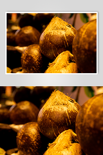 超市新鲜海南椰子水果鲜果摄影图片