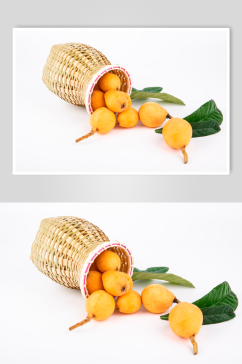 枇杷芦橘夏季水果鲜果摄影图片