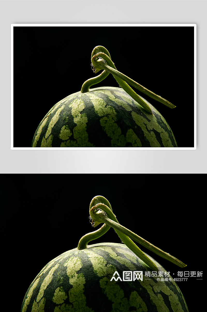 新鲜西瓜麒麟瓜水果鲜果摄影图片素材