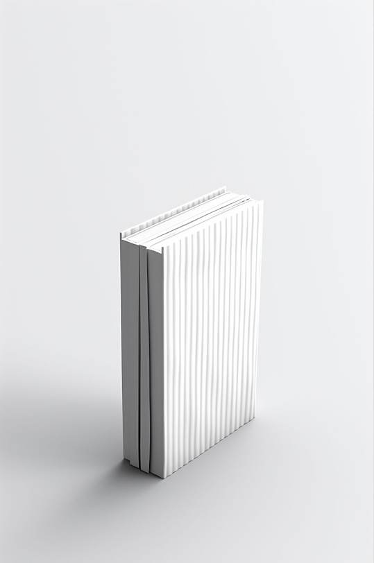AI数字艺术简约大气白色书籍封面样机