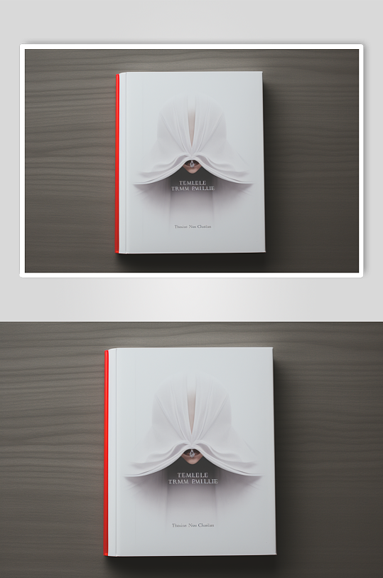 AI数字艺术书籍封面样机图片