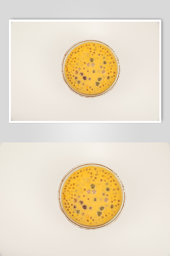 芒果西米露糖水美食摄影图片