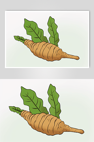 AI数字艺术天麻中草药药材插画