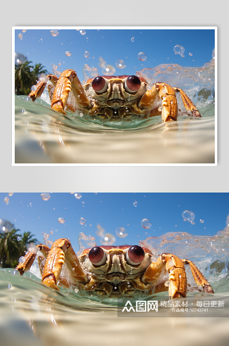 AI数字艺术梭子蟹图片素材
