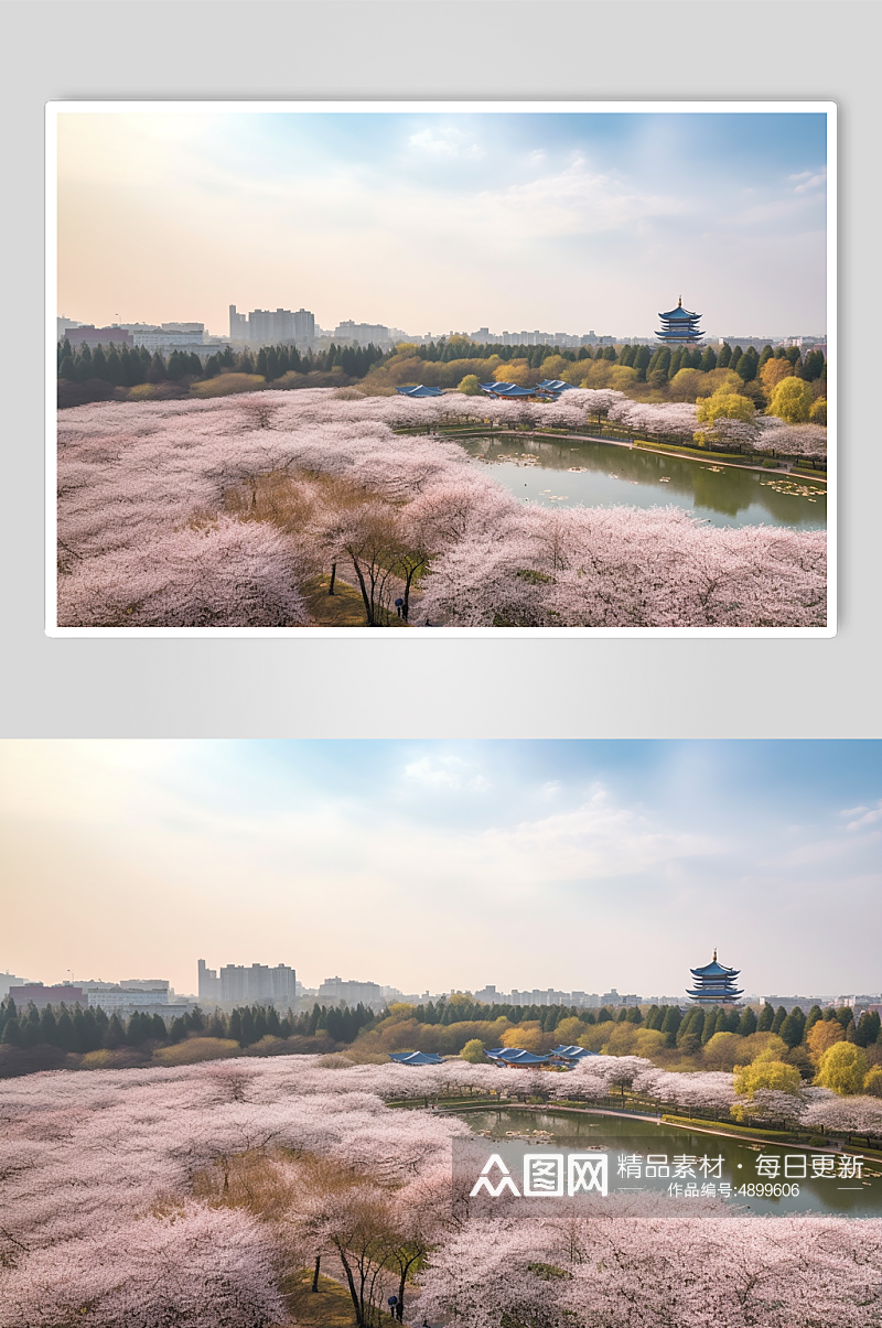 AI数字艺术国内城市武汉樱花景点摄影图片素材