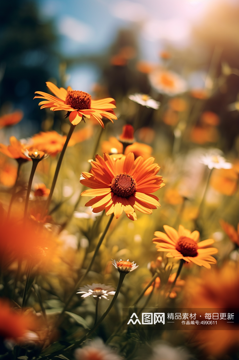 AI数字艺术清晰夏季花卉向日葵摄影图片素材