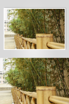 绿色植物校园建筑风景摄影图