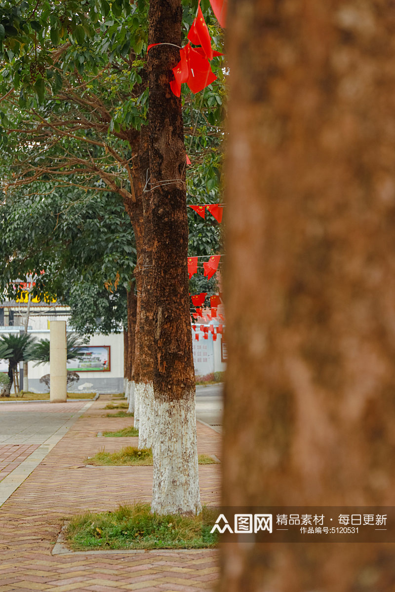 校园绿化校园建筑风景摄影图素材