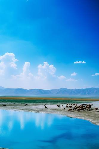 AI数字艺术高清湖边新疆景点摄影图片