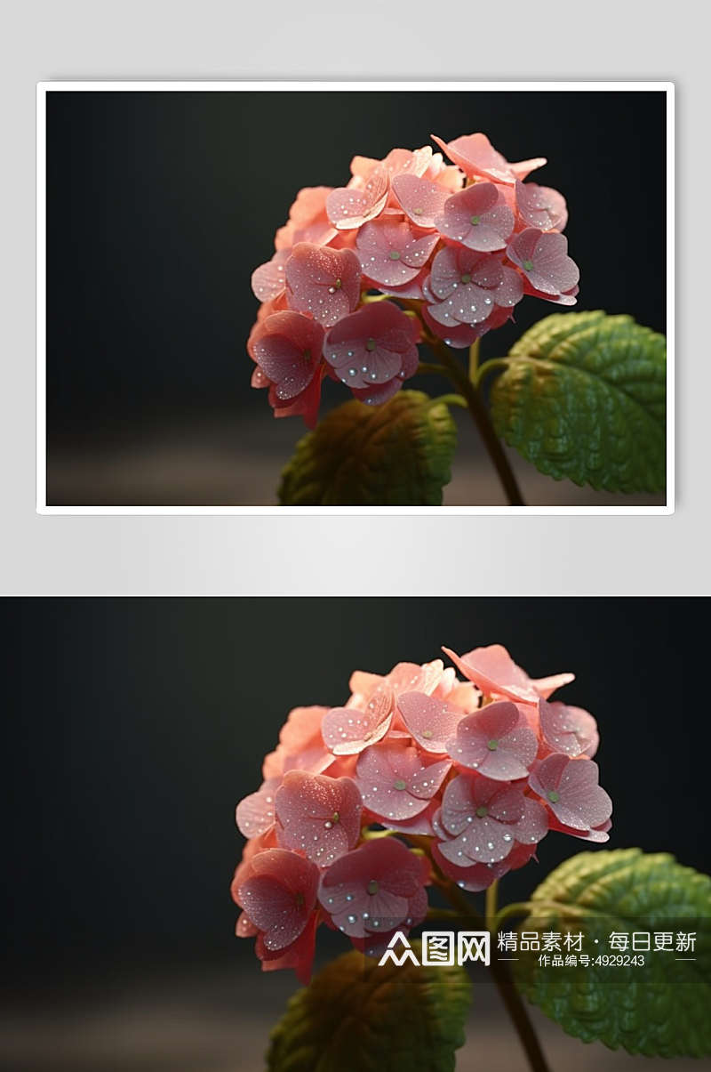 AI数字艺术高清粉色绣球花摄影图片素材