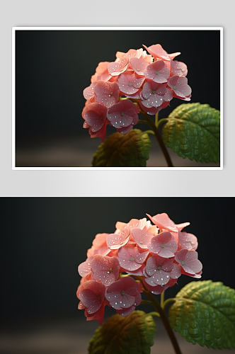 AI数字艺术高清粉色绣球花摄影图片