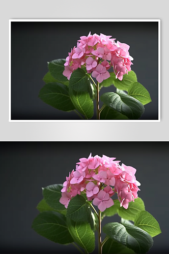 AI数字艺术高清粉色绣球花摄影图片