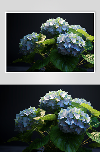 AI数字艺术唯美蓝色绣球花摄影图片