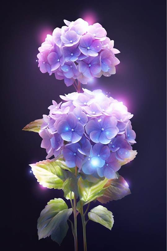 AI数字艺术唯美紫色绣球花摄影图片