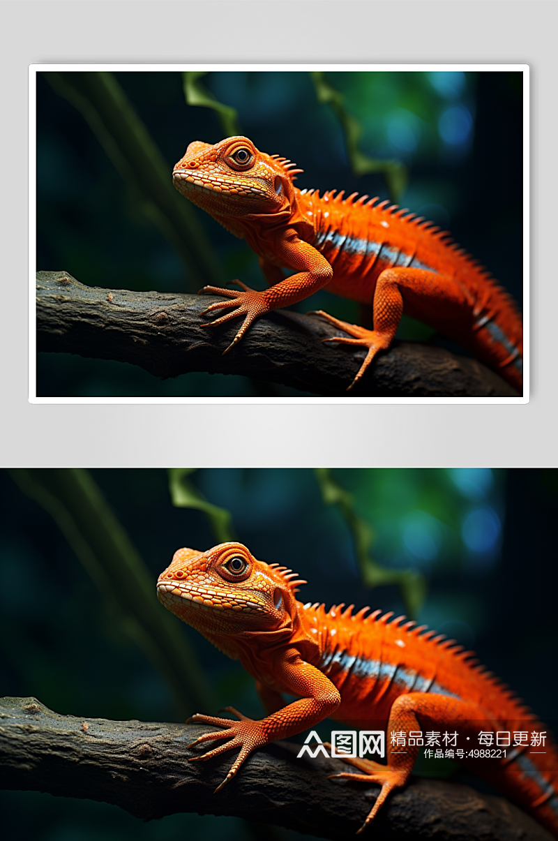 AI数字艺术呆萌蜥蜴野生动物摄影图片素材