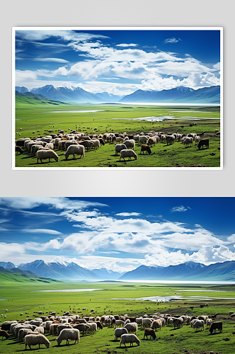 AI数字艺术国内城市西藏旅游风景摄影图
