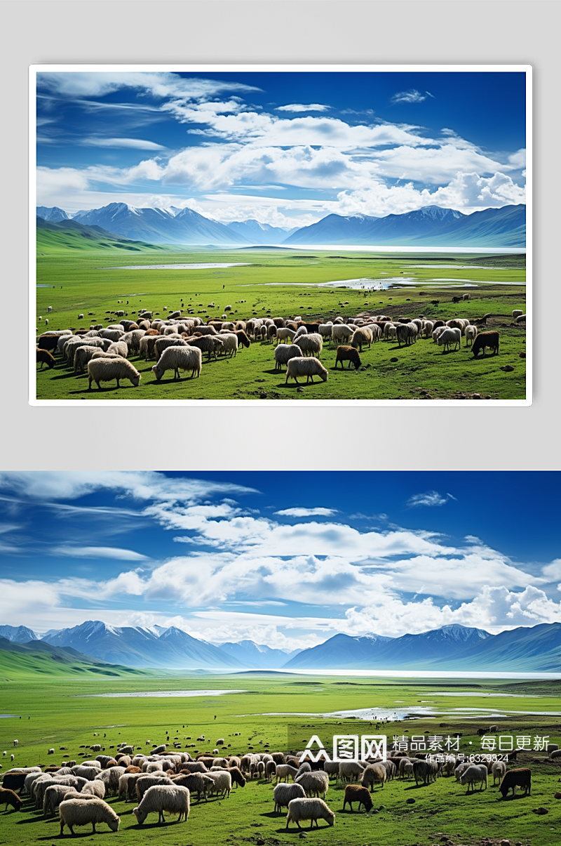 AI数字艺术国内城市西藏旅游风景摄影图素材