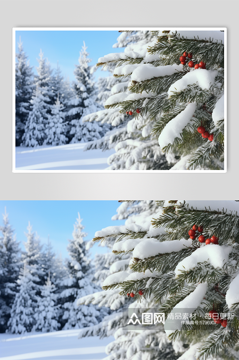 AI数字艺术冬季雪景雪松风景摄影图素材