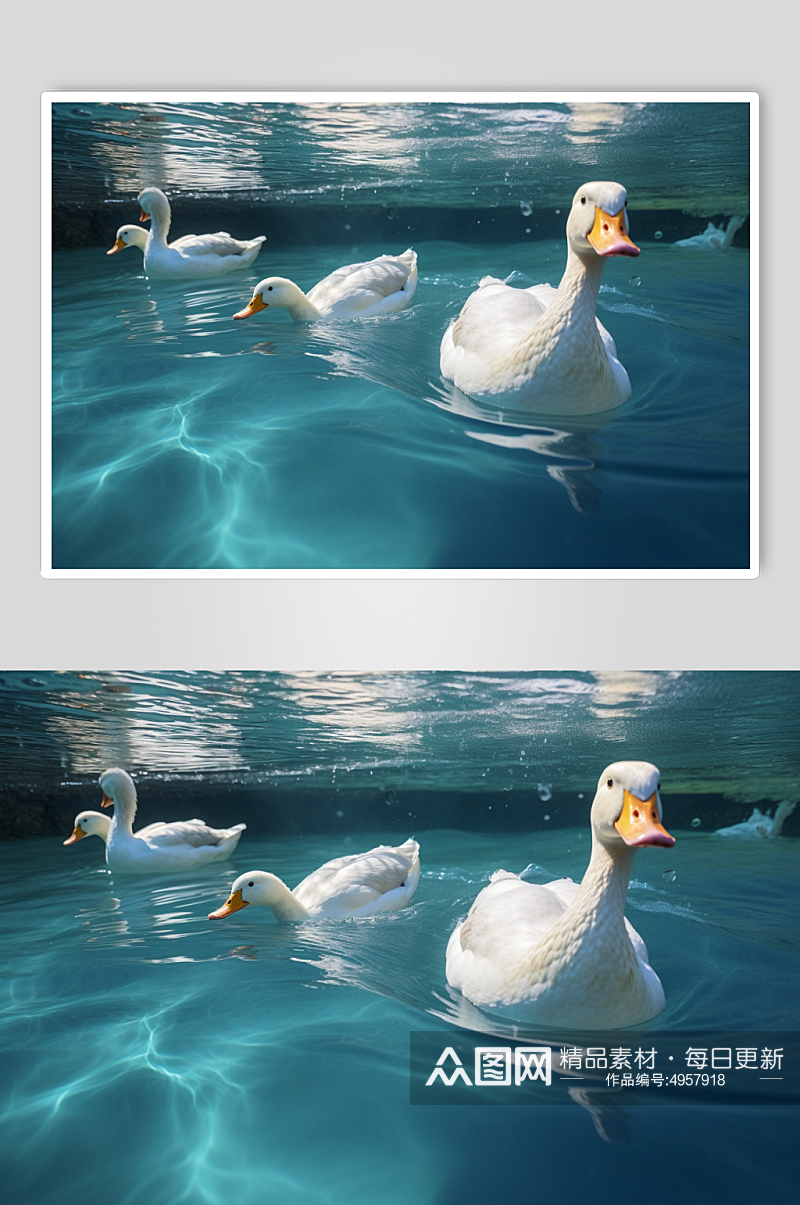 AI数字艺术可爱鸭家禽动物摄影图片素材