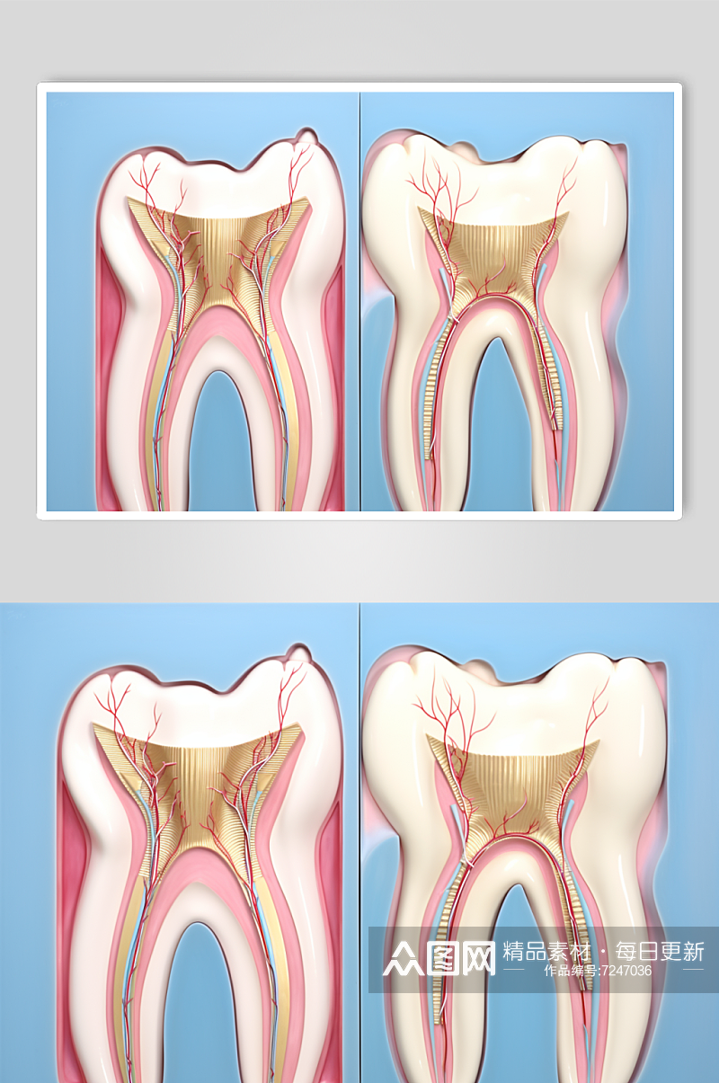 AI数字艺术卡通牙科牙齿内部结构插画素材