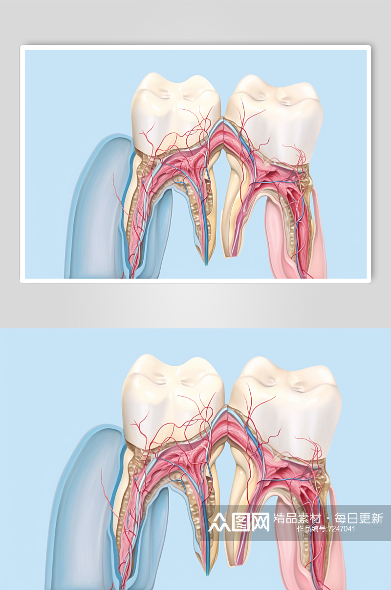 AI数字艺术卡通牙科牙齿内部结构插画素材