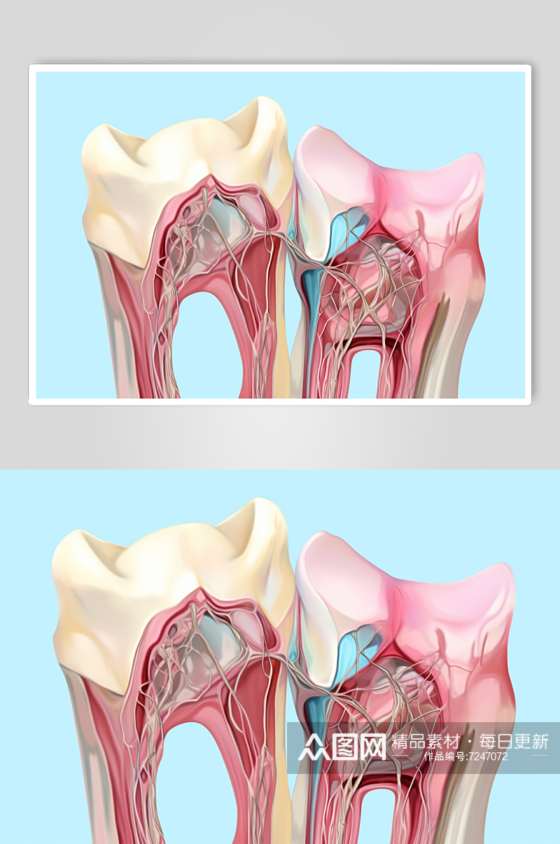 AI数字艺术卡通牙科牙齿内部结构插画素材