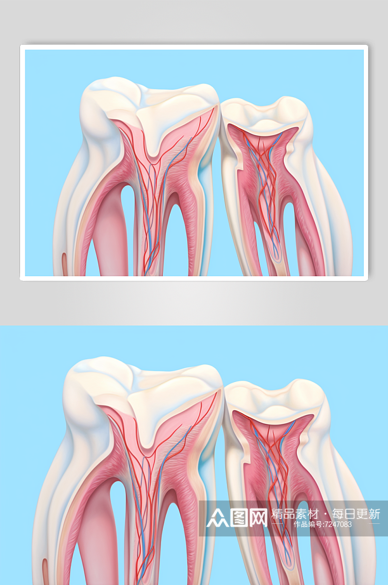 AI数字艺术卡通牙科牙齿内部结构插画素材