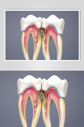 AI数字艺术卡通牙科牙齿内部结构插画