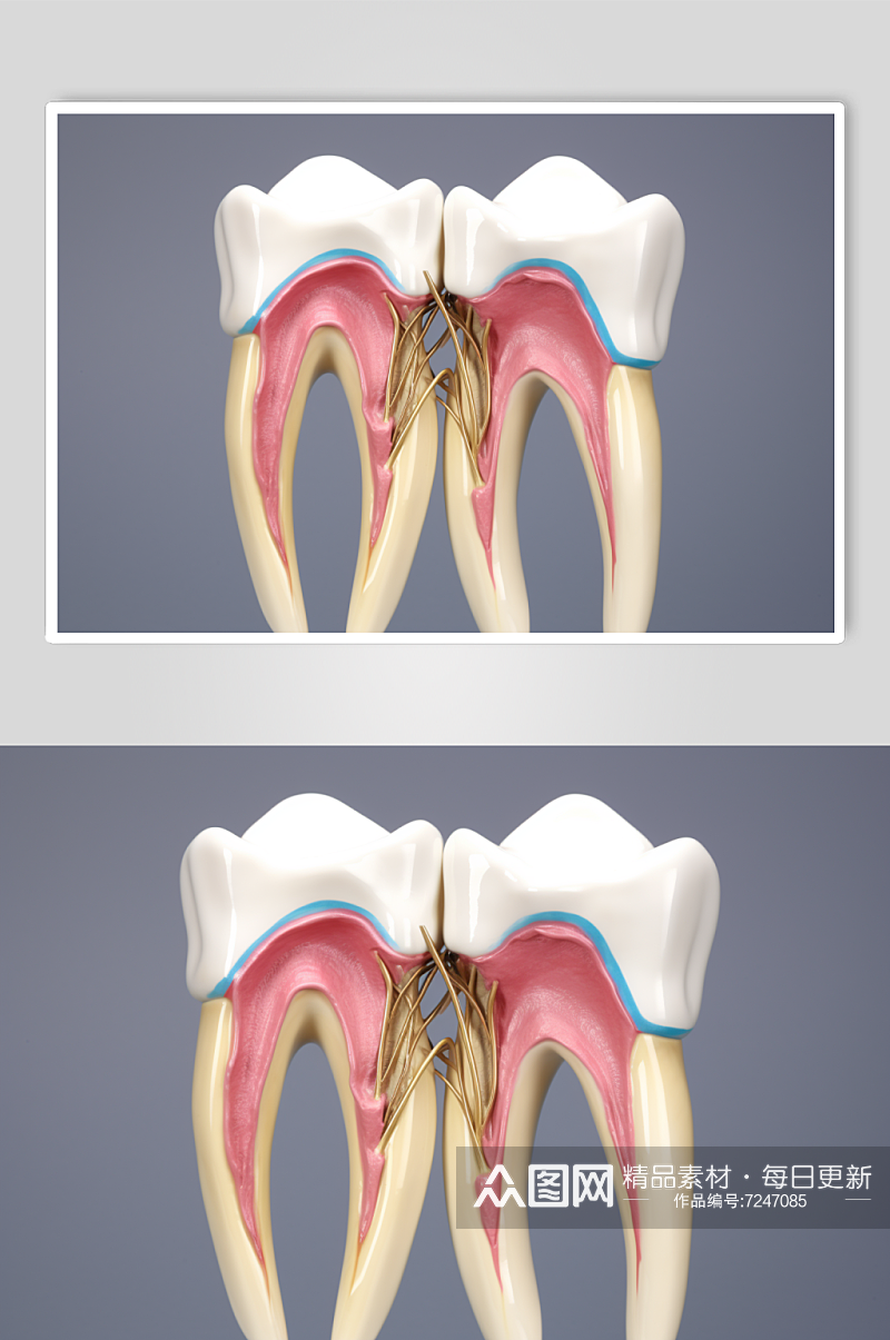 AI数字艺术卡通牙科牙齿内部结构插画素材