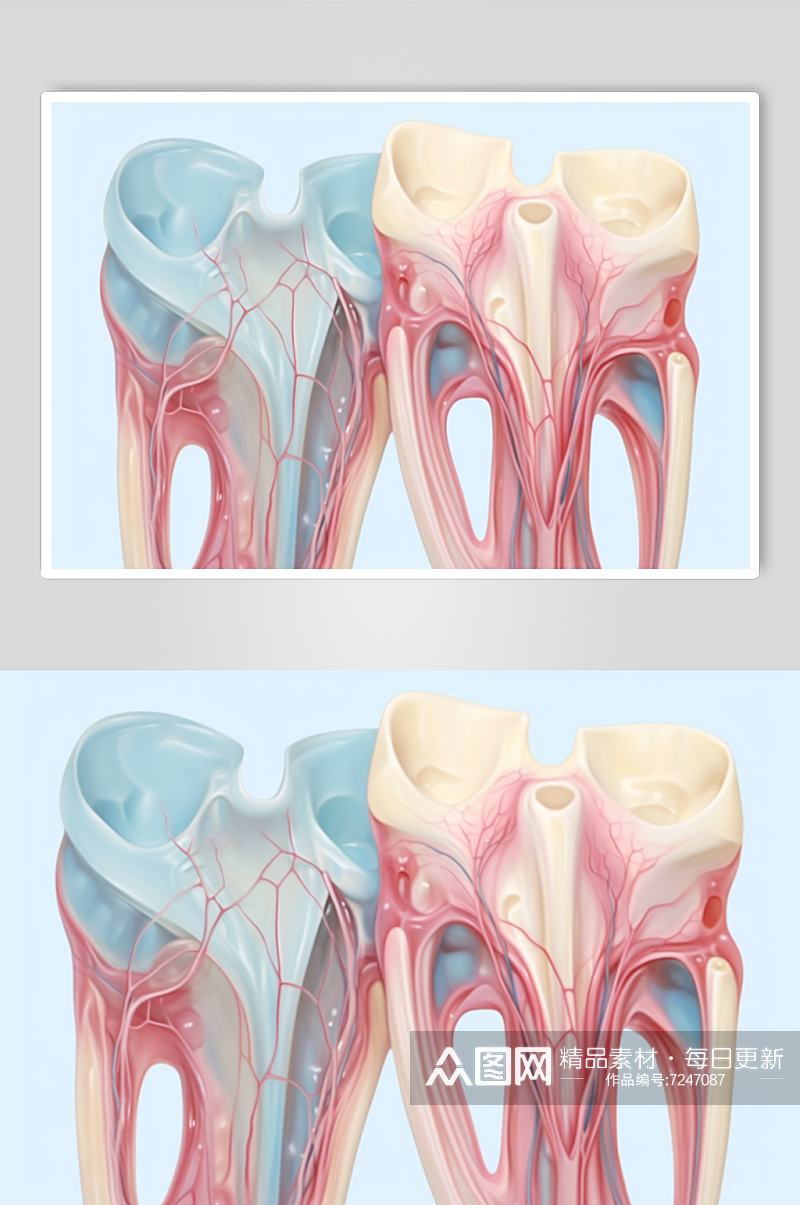 AI数字艺术卡通牙科牙齿内部结构插画素材