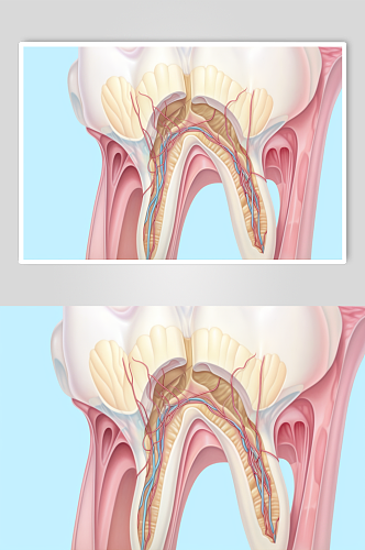 AI数字艺术卡通牙科牙齿内部结构插画