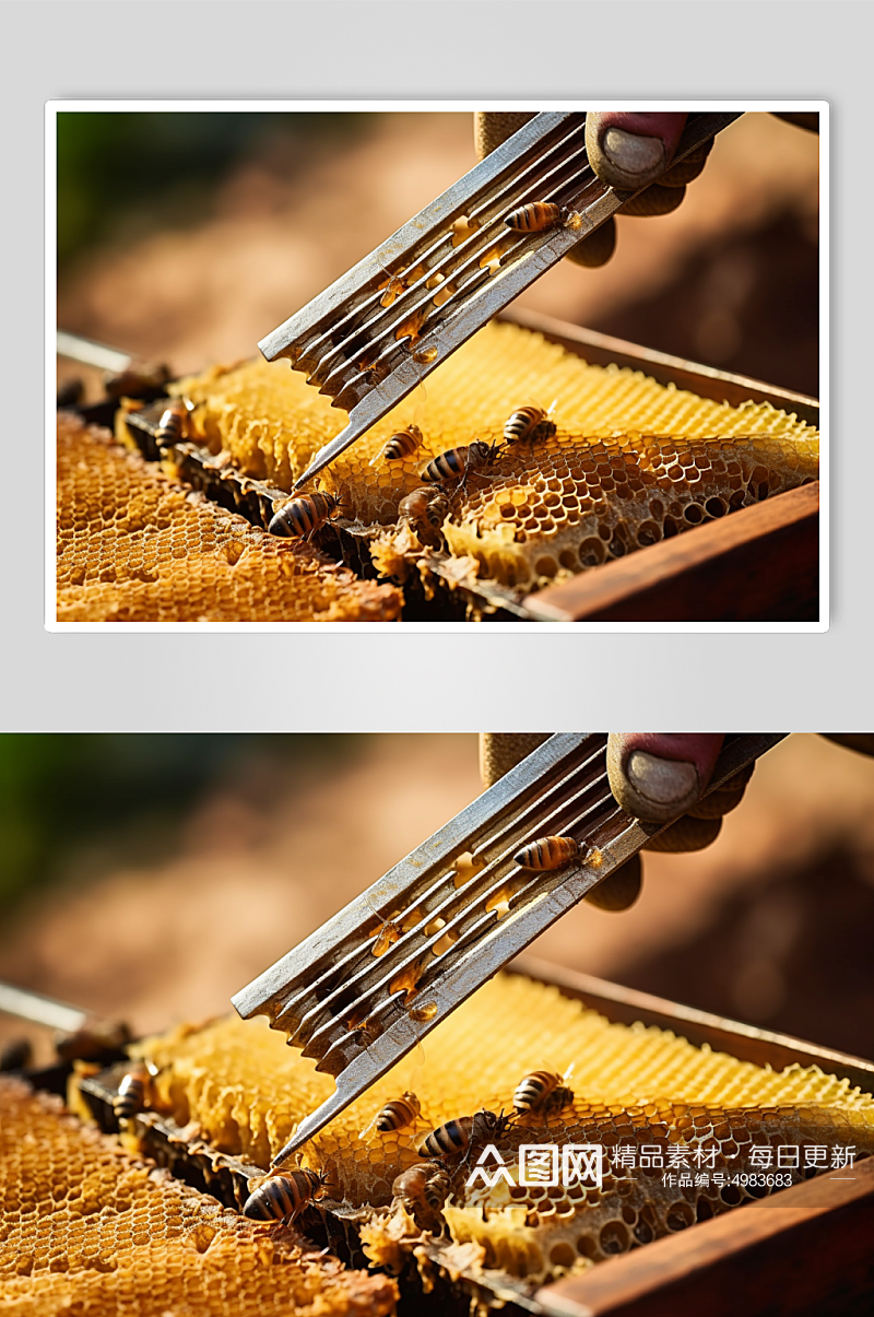 AI数字艺术高清养蜂人蜂箱蜜蜂摄影图片素材