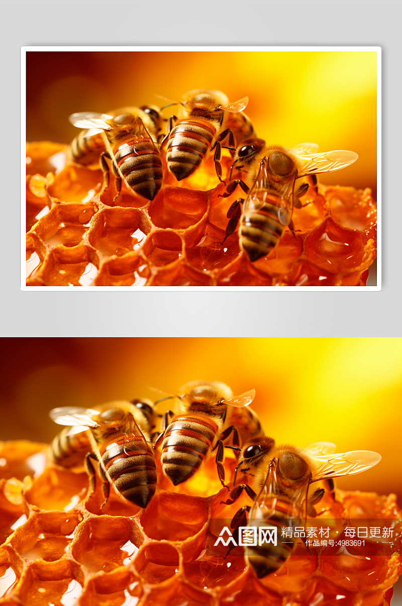 AI数字艺术高清养蜂人蜂箱蜜蜂摄影图片素材
