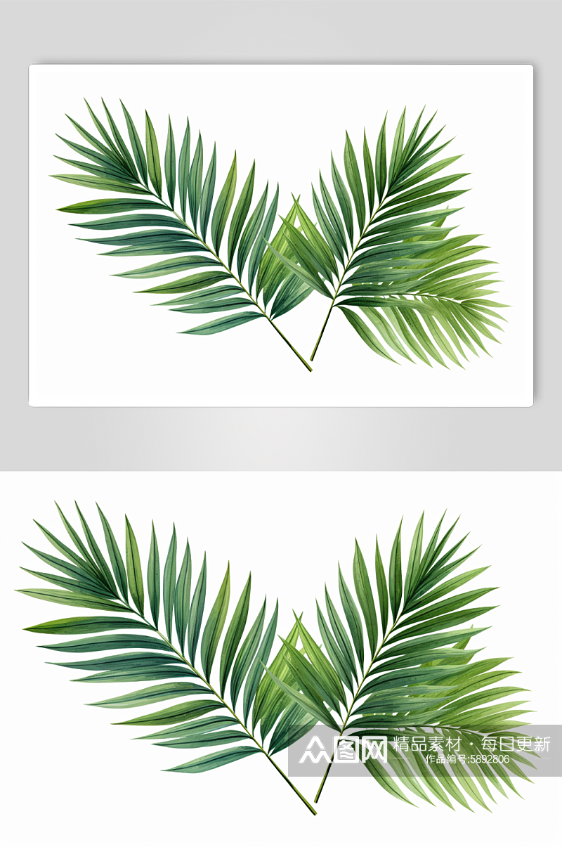 AI数字艺术小清新植物叶子插画素材