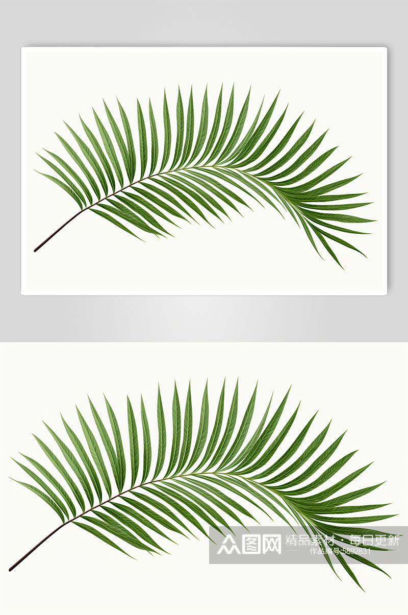 AI数字艺术小清新植物叶子插画素材