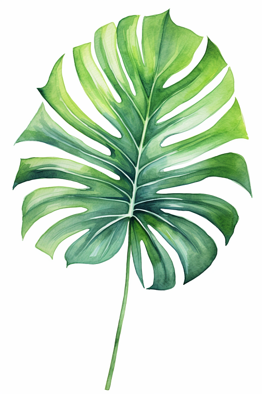 AI数字艺术小清新植物叶子插画