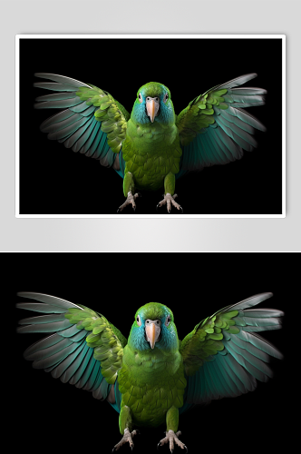 AI数字艺术创意小鸟鹦鹉动物摄影图片