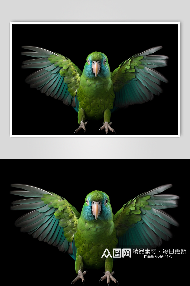 AI数字艺术创意小鸟鹦鹉动物摄影图片素材