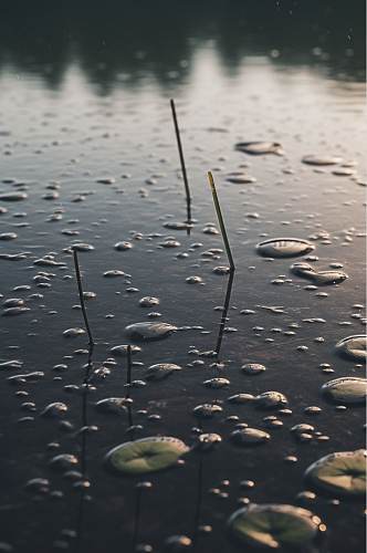 AI数字艺术高清特写雨水摄影图片